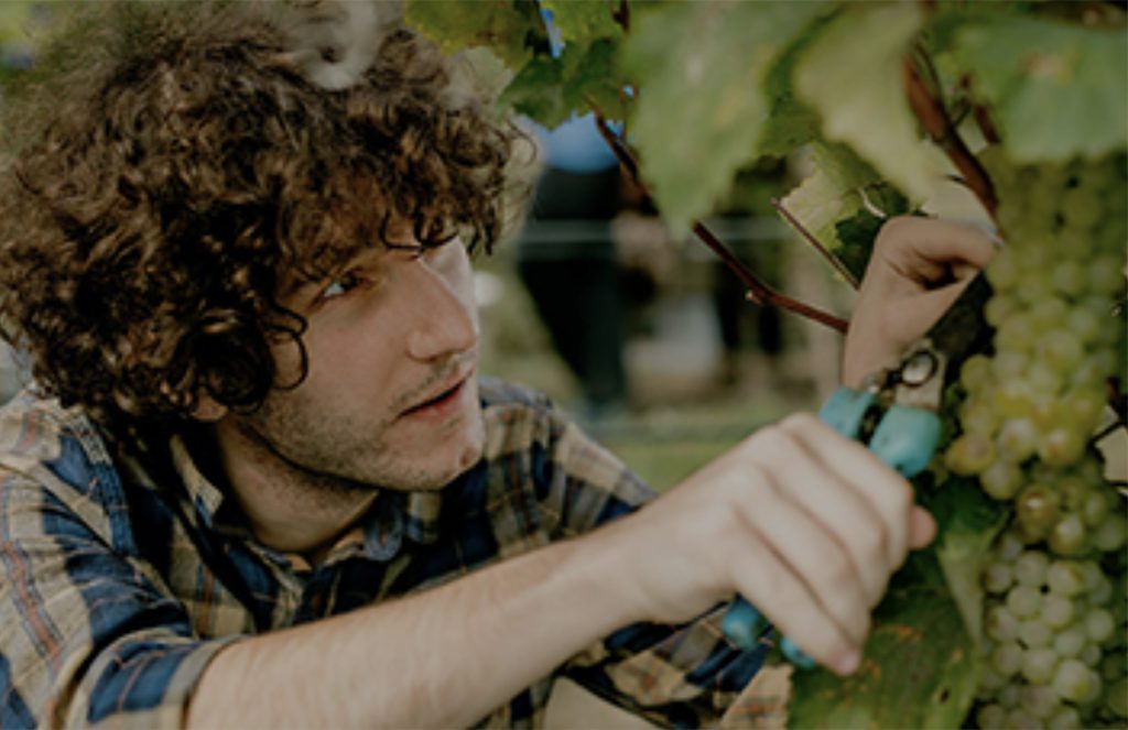 Hiking and tours in Georgia: "Archeotour" travel agency. Discover little known places in Georgia. Make your trip exciting and full of adventure