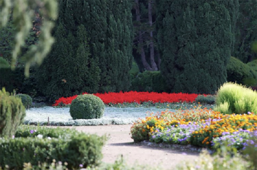 Gürcüstanda əyləncə və istirahət: Tbilisi Nəbatat bağı. Səyahət Bələdçisi: Otellər, Barlar, Fəaliyyətlər, Turlar və Ekskursiyalar