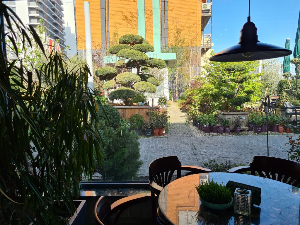 Best places to eat in Georgia: Cafe Verde. Unique food and warm atmosphere in the heart of old Tbilisi. Guide for tourists